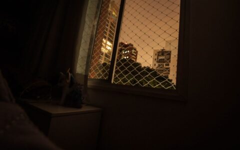 A night view of city buildings from inside a room with a mesh-covered window.